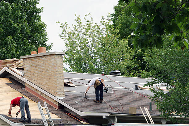 Best Roof Gutter Cleaning  in Centerville, IA